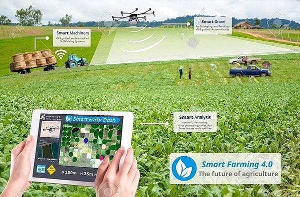 Remote Sensing In Agricultural Monitoring