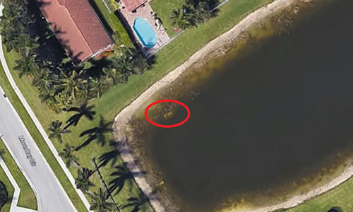 Ảnh vệ tinh trên Google Maps phát hiện thi thể mất tích 22 năm dưới hồ