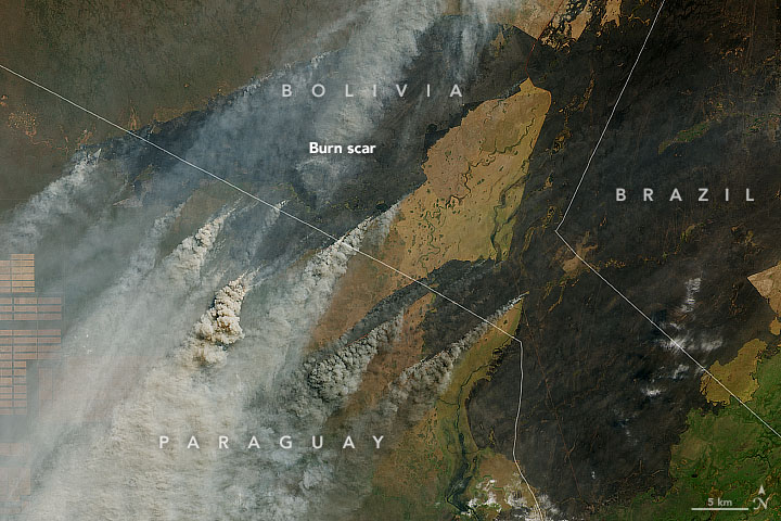 The MODIS satellite sensor tracks and monitors Amazon forest fires
